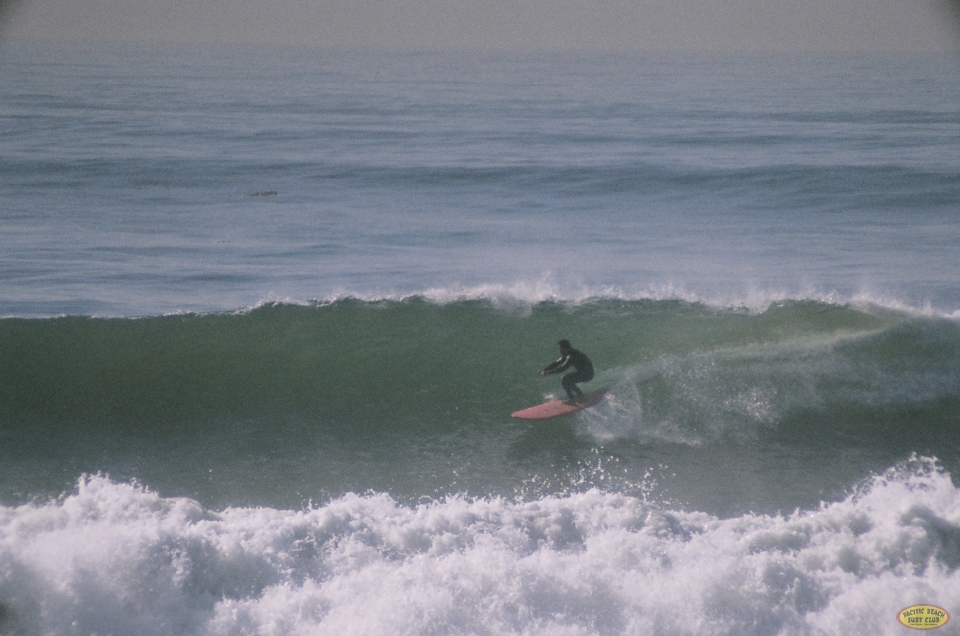 Another Ferdie photo from my archives, killin' it on a big day in PB!