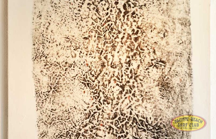 pbsc-mega-bbq-membership-drive-and-summerraffle-df0_2975