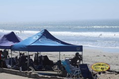 2024-pbsc-tcc-by-tim-steele-img_2438