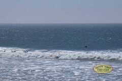 2024-pbsc-tcc-by-tim-steele-img_2444