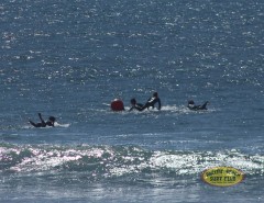 2024-pbsc-tcc-by-tim-steele-img_2446