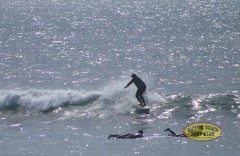 2024-pbsc-tcc-by-tim-steele-img_2462